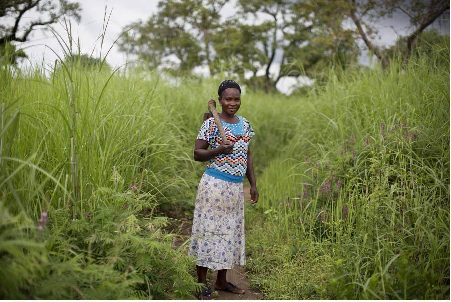 Leila, an OISL client, on her farm in Ghana.