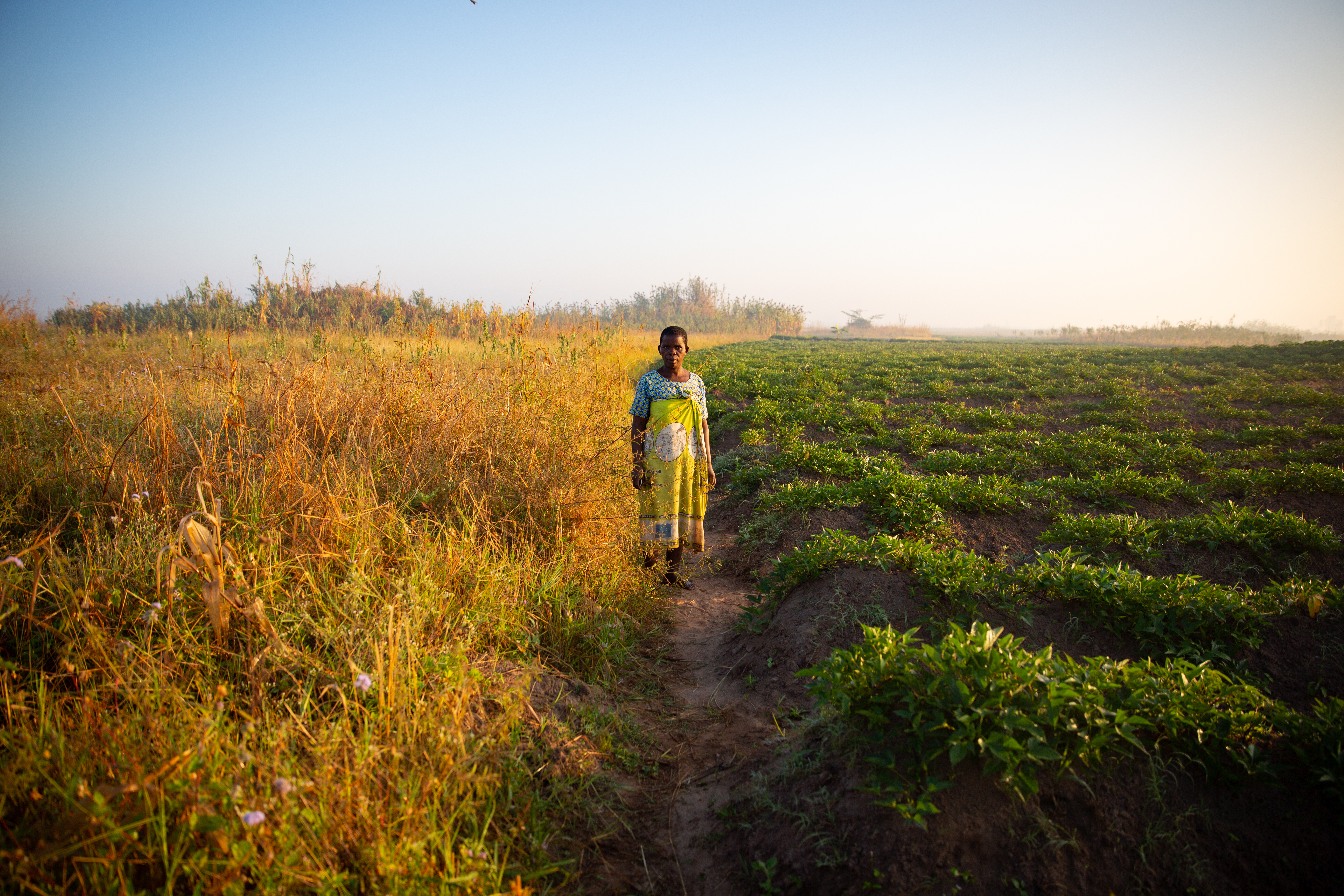 Dorka on her farm in Malawi