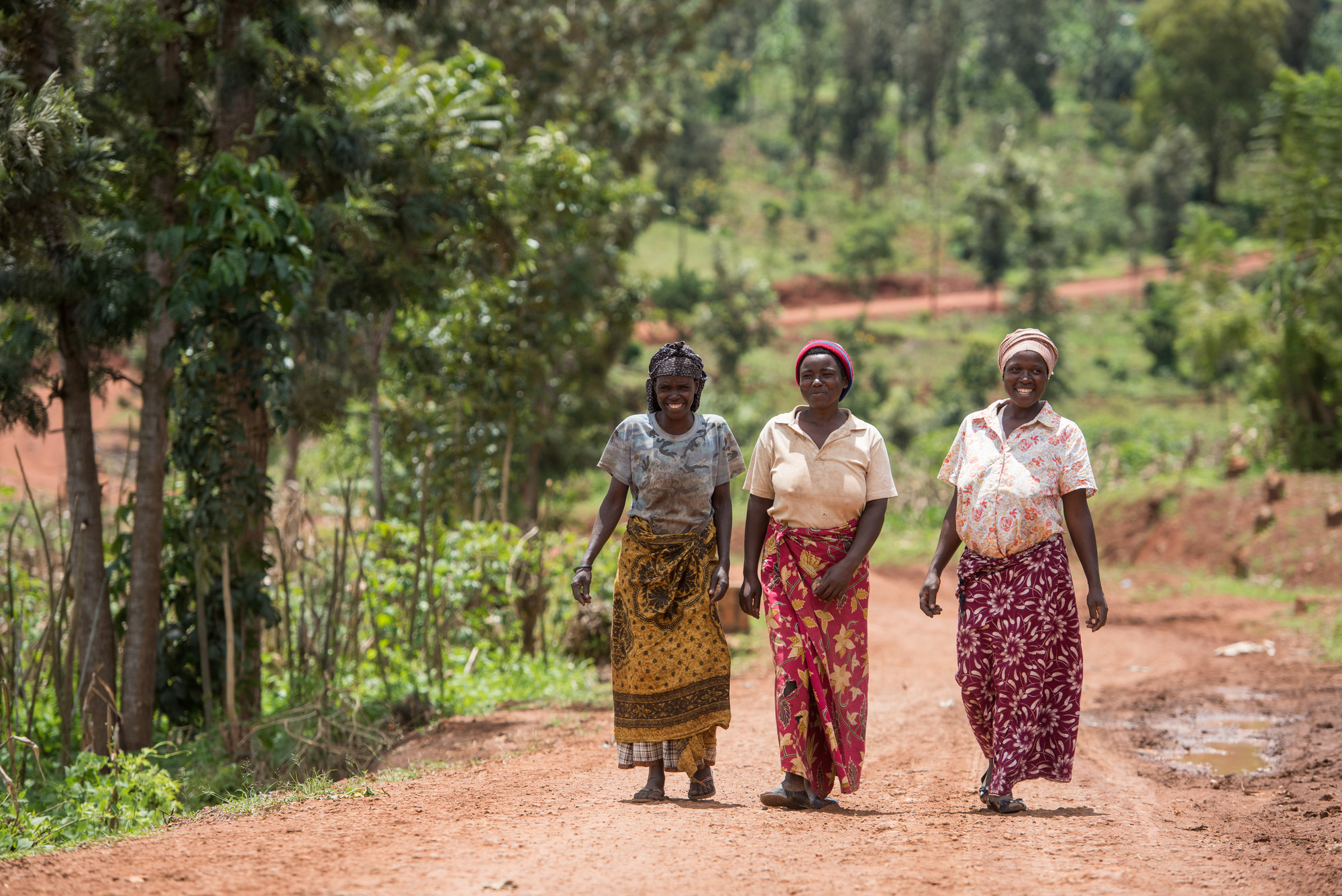 Leonilla Mujawimana, Speciose Uwamakoro, and Chantal Nyirambogiywana walking on their farm in Malawi.
