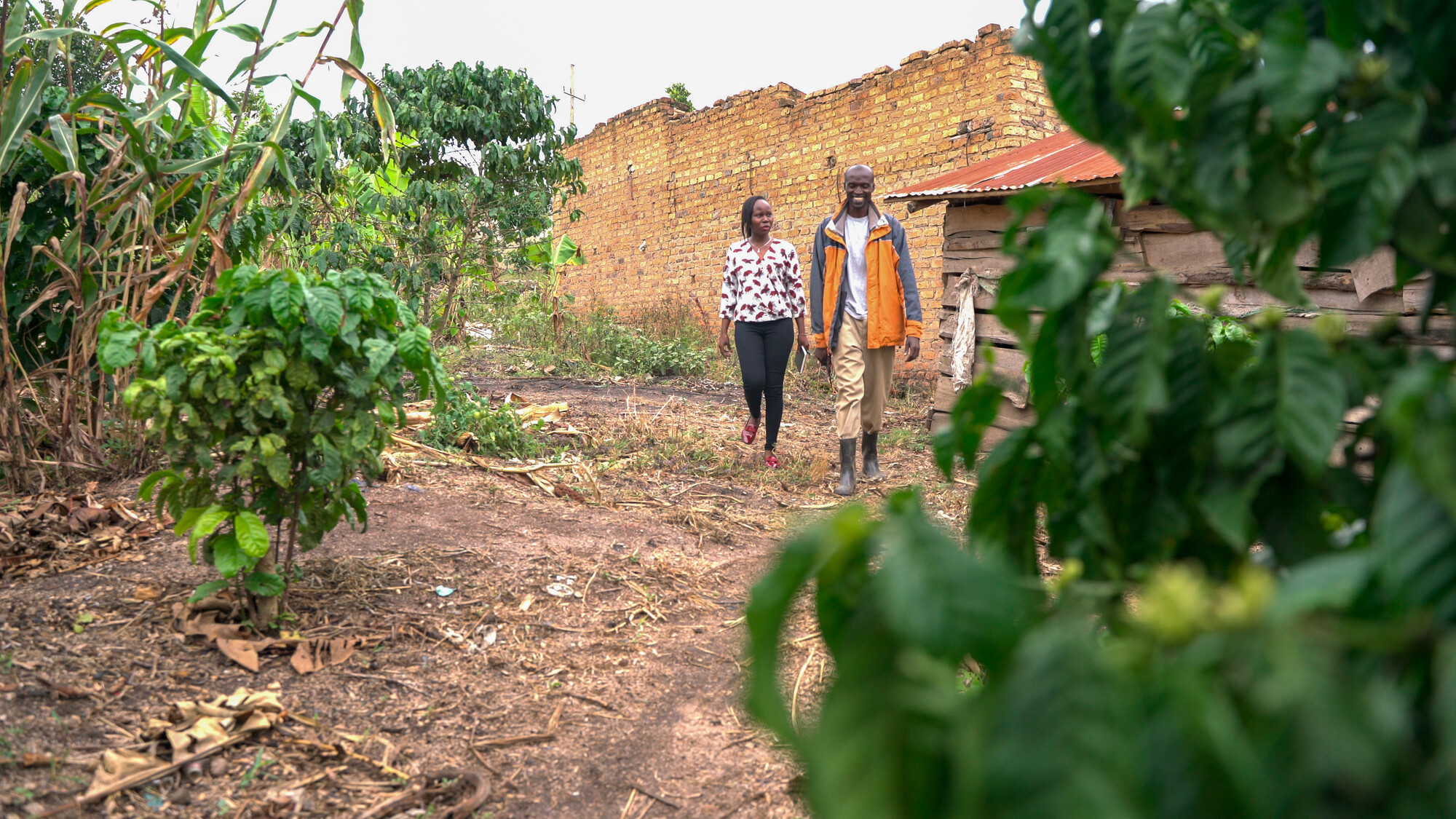 ELIJAH MUHAWE: Coffee Farmer and Farmer Support Agent